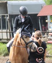 Dressurteam Schleich Bild 3