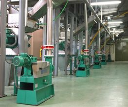 aceites-baecula-instalaciones-05.jpg