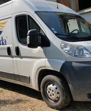 Sellerie Alidada image 7