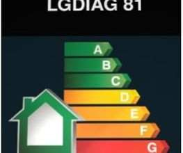 LGDIAG81 image 1