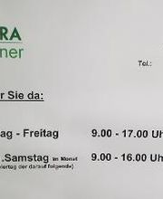 DEKRA Partner Knut Schilling Bild 5