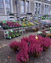 BJL Potager image 7