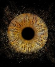 You & Eye Photo Montreux Bild 8