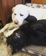 All Fuel Installation & Services image 11