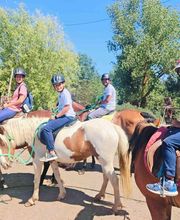 Cerdanya Eqüestre imagen 4