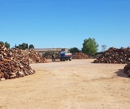 PANORAMICA_LLENYA_MIQUEL_CAMIO.jpg