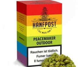 Hanfpost.ch (by Wonderland Trading GmbH) Bild 1