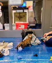 Williamsport West Veterinary Hospital image 1
