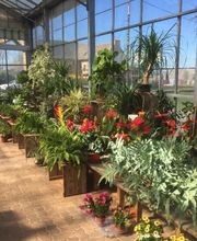 Jardinerie André image 1