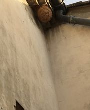 GN3D Dératisation Désinsectisation image 7