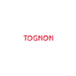 Tognon Pavimenti-Rivestimenti logo