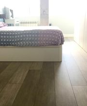 Paramentia imagen 17