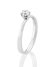 Die Trauringwelt Bild 9