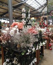 Jardinerie HORNBACH Villeneuve Bild 5