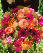 Venetoulis SA Bild 2