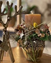 Blumen Candinas / Fluras Candinas Bild 13