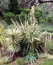 Vert Coop Services image 1