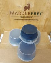 Kreienbühl - Schädlingsbekämpfung Bild 3