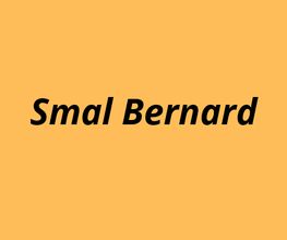 Smal Bernard image 2