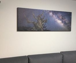 13819255-1-9J5BfQPjI11629198277372.jpeg