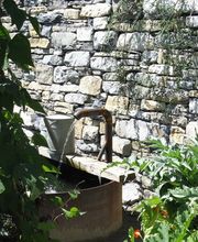 Animaflor Gartenbau AG Bild 3