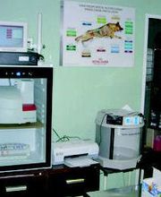 Clínica Veterinaria Los Galgos imagen 13