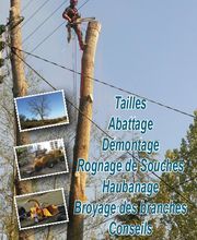 Arboteam SARL image 5