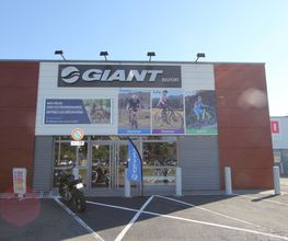 Giant Belfort image 13