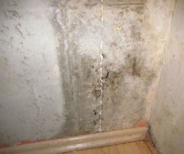 Schimmelpilz an der Wand