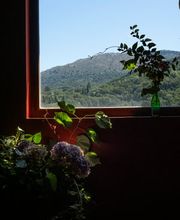 Hotel Rural El Jardín del Conde imagen 4