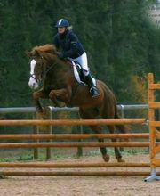 Club Hippique La Cavale image 12