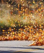 ARN Reinigungen AG Bild 4