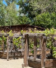 Jacobs Berry Farm image 10