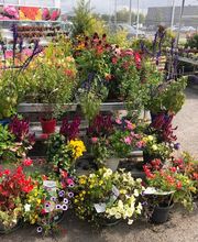 Bricomarché Romilly Sur Seine image 8