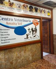 AmaitaVet Clínica Veterinaria imagen 13