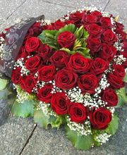 Blumen Hetzer Bild 4