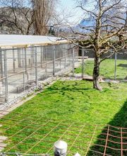 Tierpension Lanzenen Bild 4