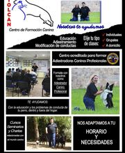 Piolcan Adiestramiento Canino y centro de formación imagen 9