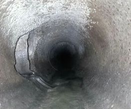 SARC image 7