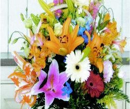 Rose Flor imagen 9