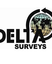 Delta Surveys image 2