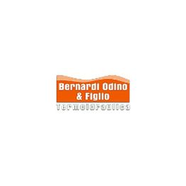 Bernardi Energy logo