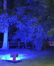 CP Energies image 14