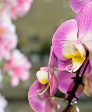 Au Fil des Saisons image 12