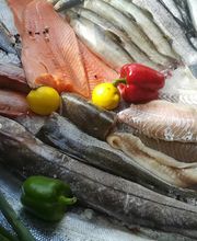 Le petit pêcheur malika Bild 3