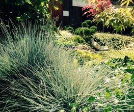 Heyer Gartenbau GmbH Bild 5