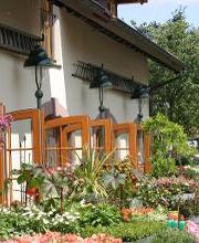 Baumschule Peselmann Bild 6