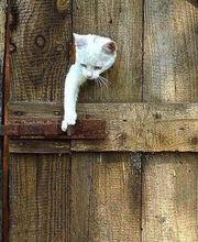 Praxis fürs Sein - Esra Telesel Bild 7