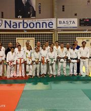 Entente Narbonne Sports Arts Martiaux image 14
