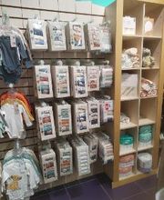 Orchestra CASTRES image 6